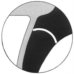 Товарный знак АО "Турбонасос"