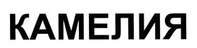 Товарный знак ООО "Пансионат "Камелия"
